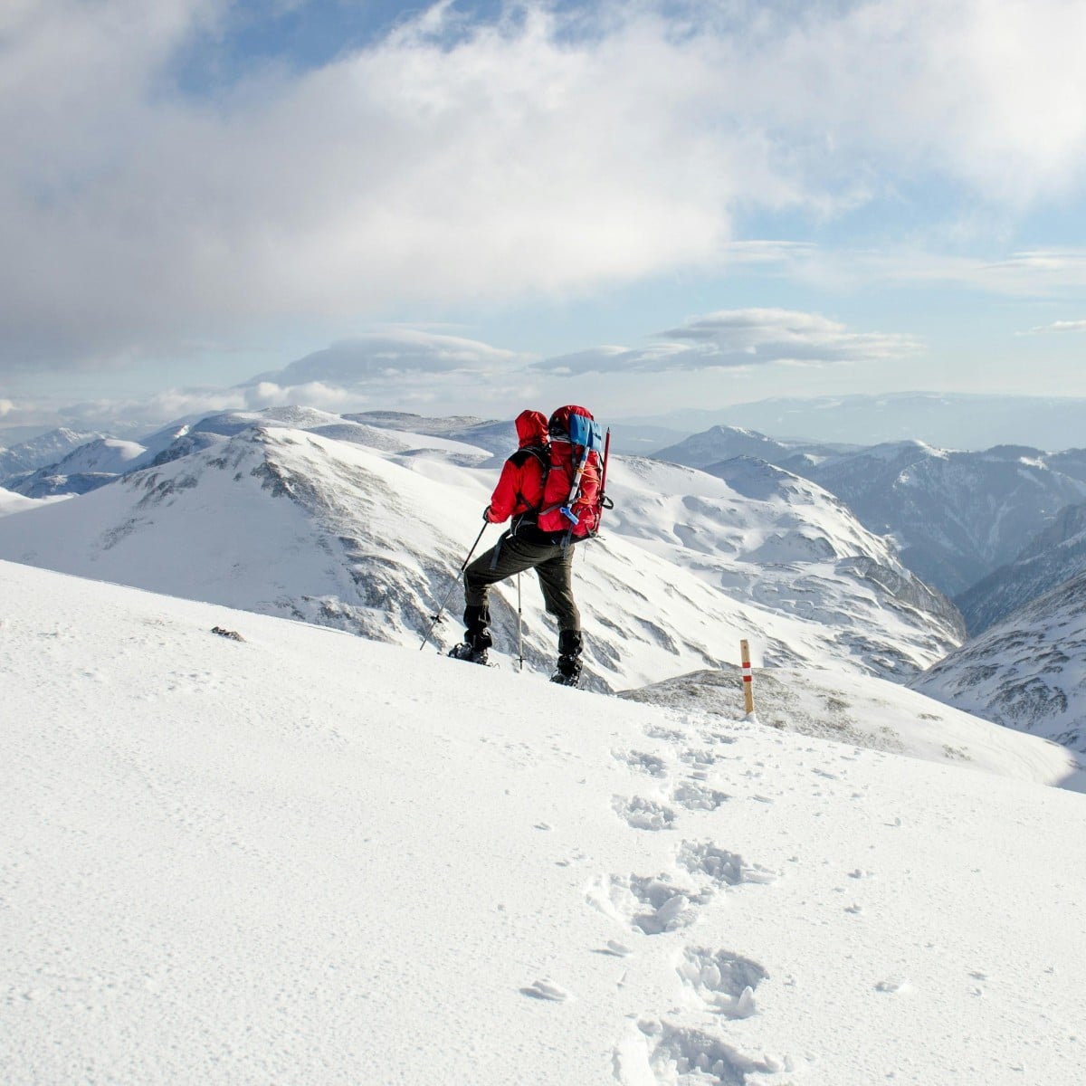 inSystems man bergen