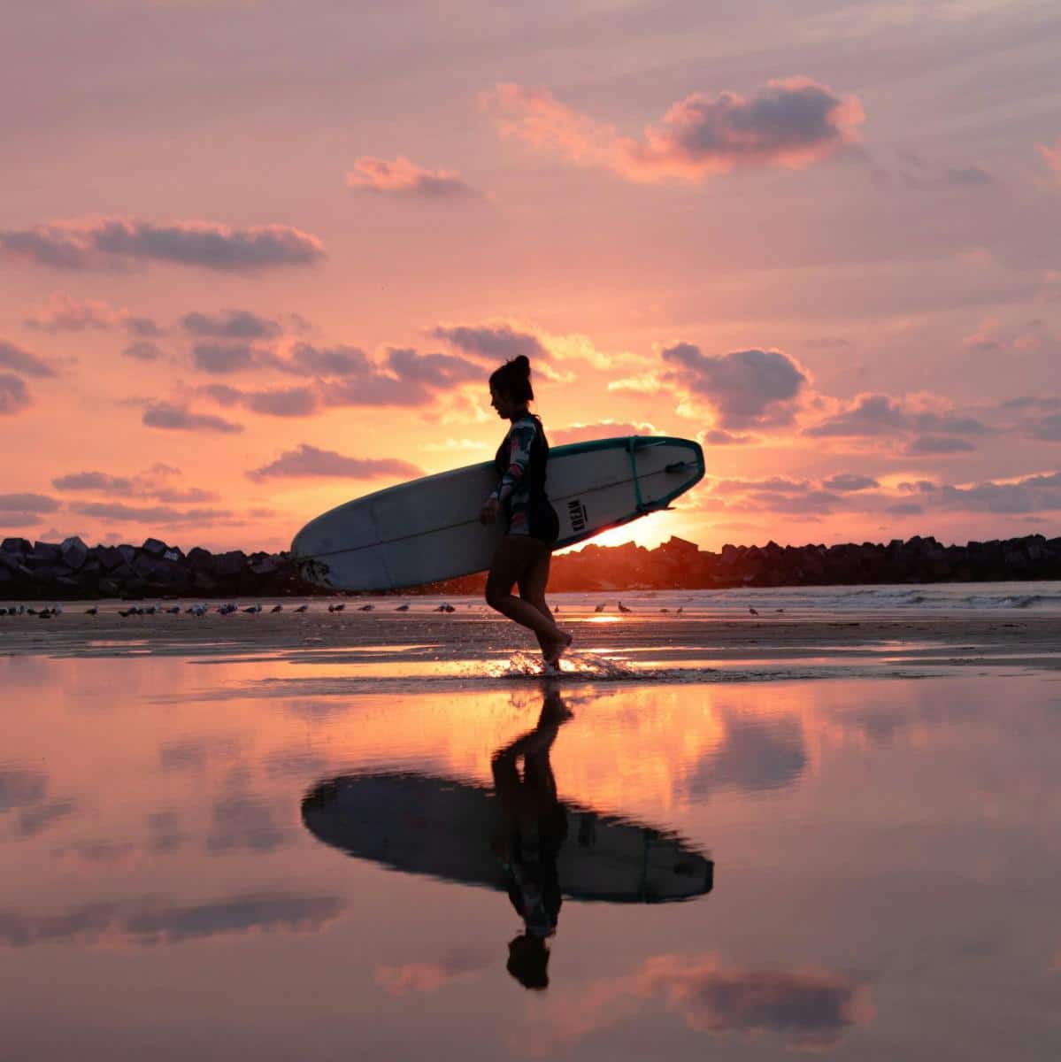 inSystems surfing